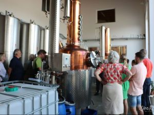UA250802 Likeur brouwerij 1.JPG
